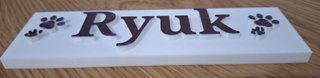 Placa personalizada 3D para mascota