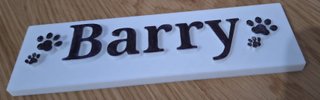 Placa personalizada 3D para mascota