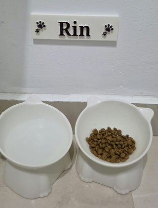 Placa personalizada 3D para mascota