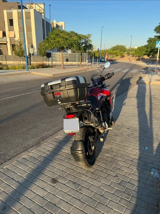 Triumph Tiger 900 GT Pro 2021