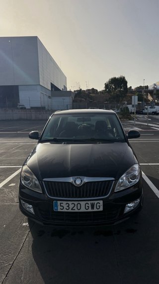 Skoda Fabia 2010