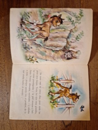 Un libro Bonny Potrito