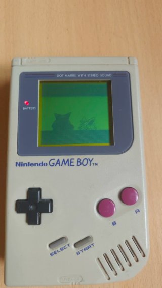 Nintendo Game Boy + Pokémon Rojo