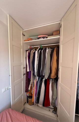 Armario Pax Ikea 2 puertas
