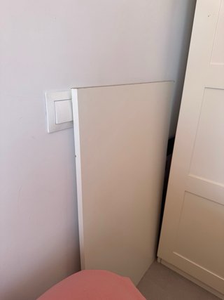 Armario Pax Ikea 2 puertas