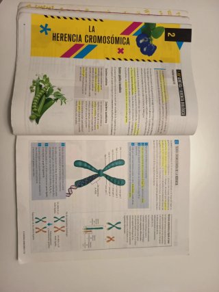 Biología y Geología 4, Secundaria, Fanfest Edel...