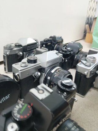 Lote 7 cámaras analógicas reflex