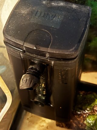 Acuario con accesorios