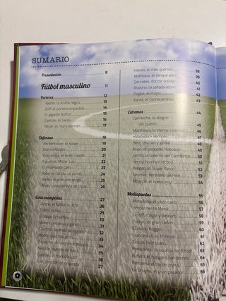 Futbolistas, ellos y ellas, los mejores de la h...