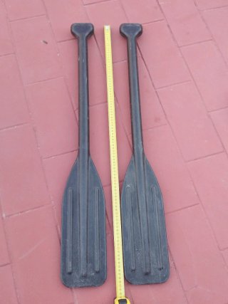 Pareja de Remos Negros