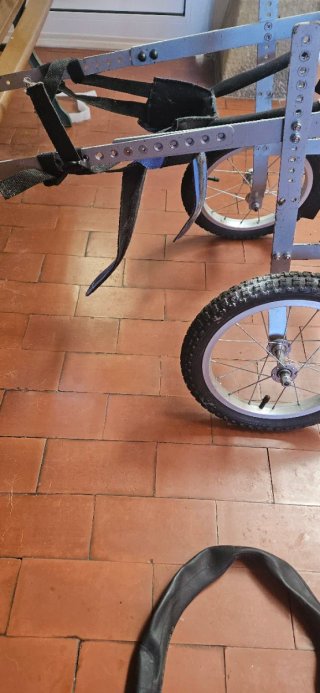 Silla de ruedas para perro