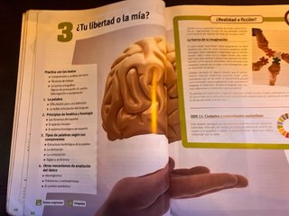 LENGUA Y LITERATURA 1 Bachillerato. Edebe