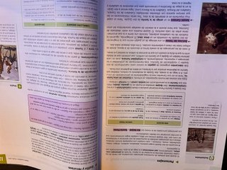 LENGUA Y LITERATURA 1 Bachillerato. Edebe