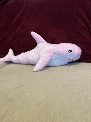 Sharky sacado de SHARK EVENTS