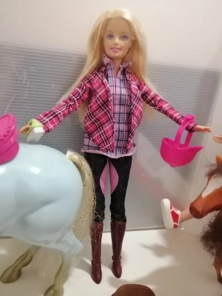 Lotto Barbie cavalli e accessori
