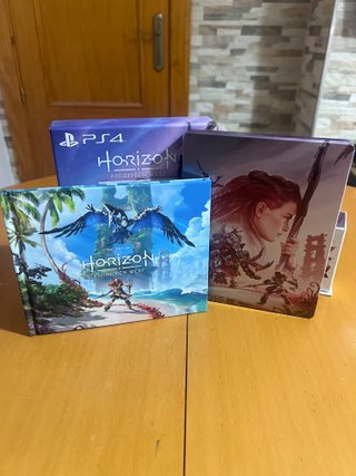 Horizon Forbidden West Edición Especial PS4