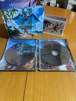 Horizon Forbidden West Edición Especial PS4