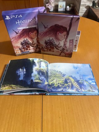 Horizon Forbidden West Edición Especial PS4