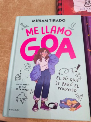 Lote de libros juveniles