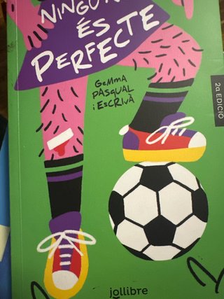 Ningú no és perfecte