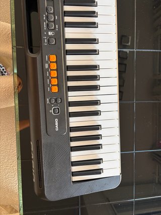 Teclado Casio
