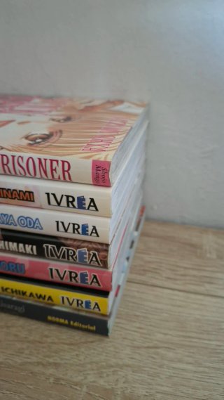 Mangas tomos únicos