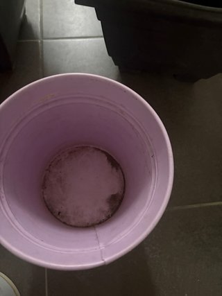 Lote Macetas Variadas