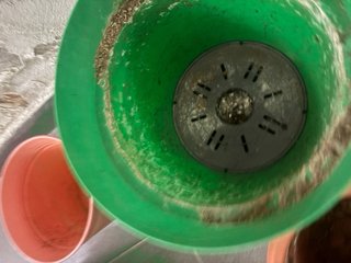 Lote Macetas Variadas