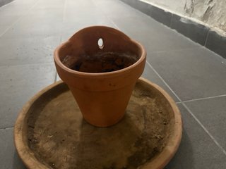 Lote Macetas Variadas