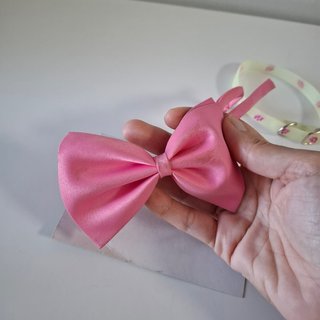 Lote Pajarita Rosa y Collar Fluorescente