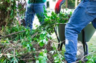 Servicios de jardinería