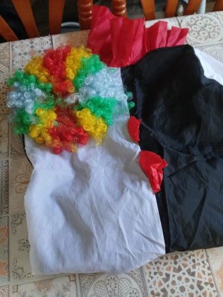 Costumi e accessori taglia unica tutto il lotto per 70€