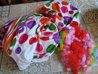 Costumi e accessori taglia unica tutto il lotto per 70€