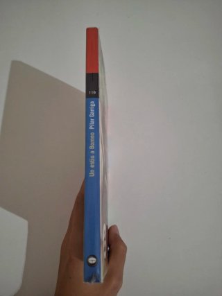 Un estiu a Borneo