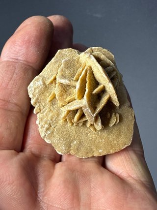 Rosa del deserto in gesso, minerali dal Marocco