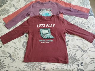 Lote Ropa Niño Camisetas y Polar