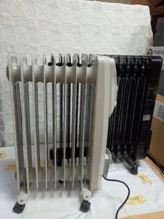 2 Radiadores Aceite Rowenta y Oigosear