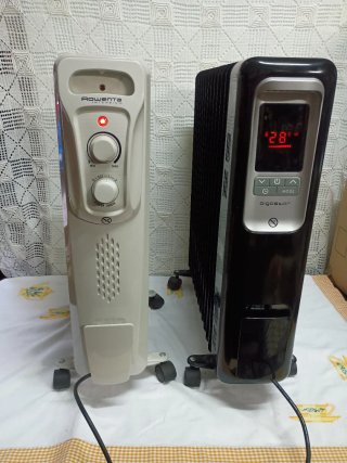 2 Radiadores Aceite Rowenta y Oigosear