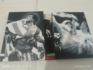 Rocky: La Saga Completa DVD
