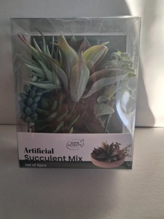 Home Accents Artificial Succulent Mix