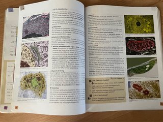Libro Biología y Geología 4 eso