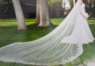 Vestido de Novia La Sposa + Velo