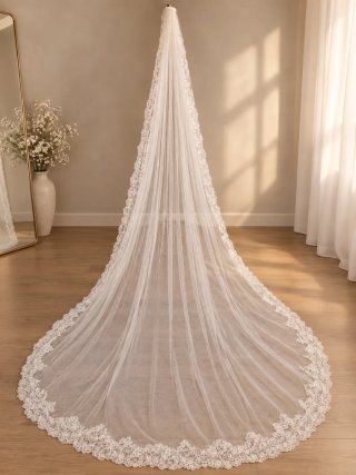 Vestido de Novia La Sposa + Velo