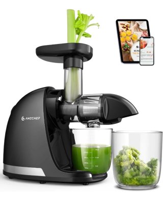 Extractor de jugos AMZCHEF