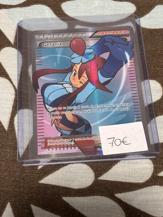 Carta Pokémon Entrenador Gerania Partidario