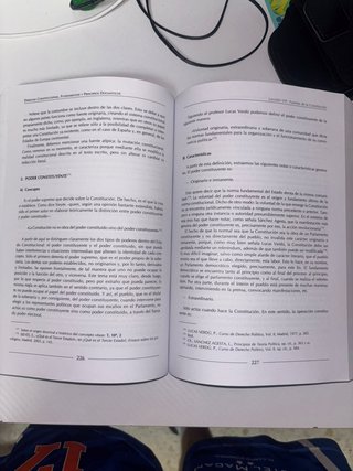Derecho constitucional fundamentos y principios...