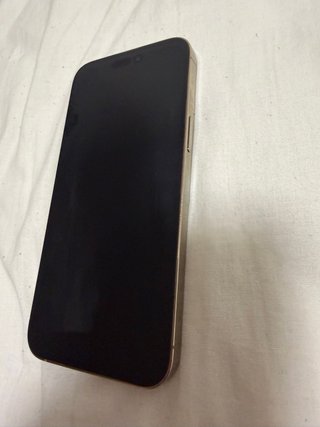 iPhone 14 Pro Max Dorado/Plateado