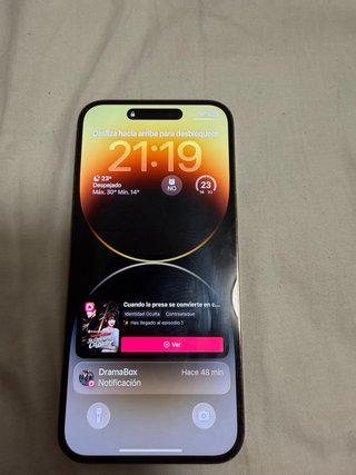iPhone 14 Pro Max Dorado/Plateado