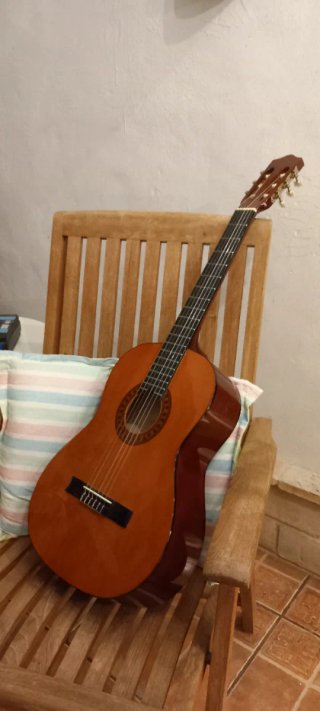 Guitarra Stagg nueva