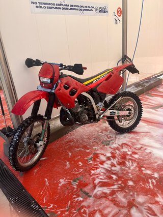 Gas gas 250